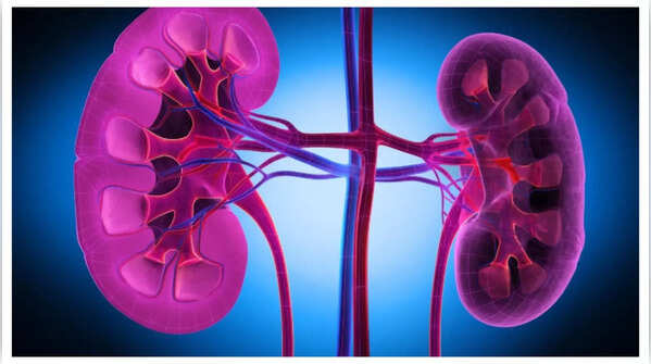 The gradual damage uric acid inflicts on kidneys