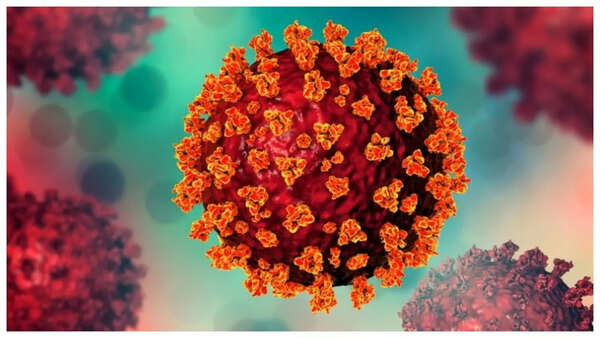 Volunteers participating in dengue vaccine trial