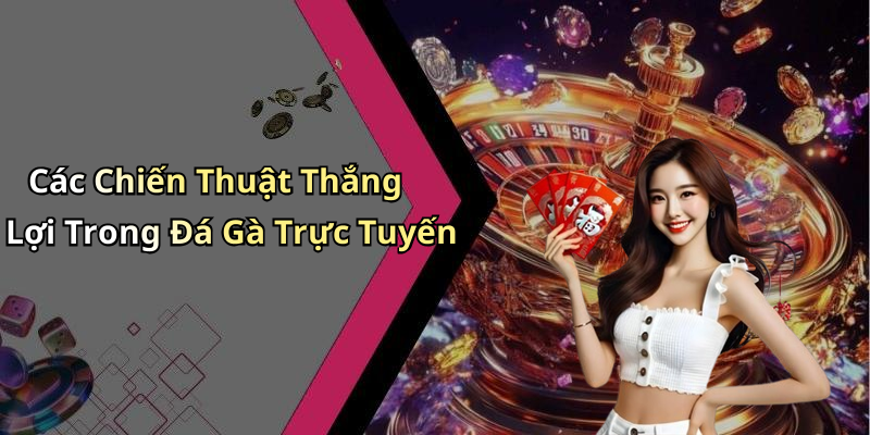 Các Chiến Thuật Thắng Lợi Trong Đá Gà Trực Tuyến