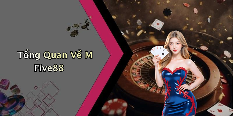 Tổng Quan Về M Five88