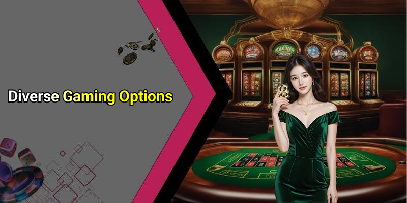 Diverse Gaming Options