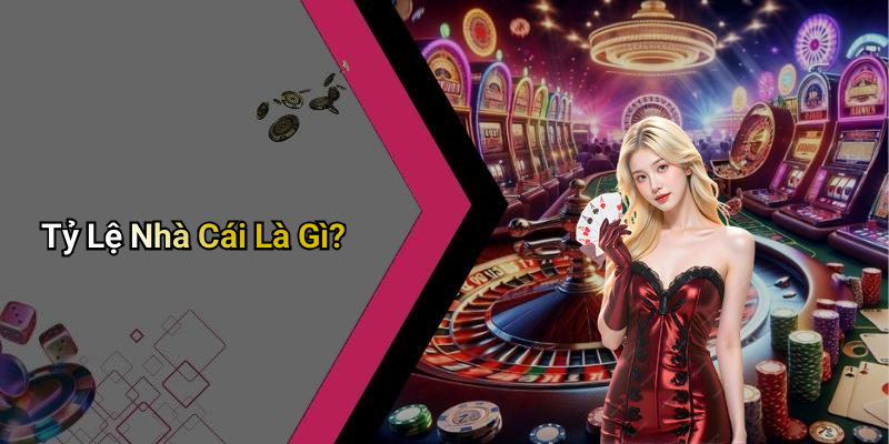 Tỷ Lệ Nhà Cái Là Gì?