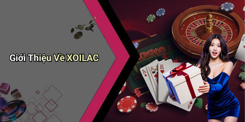 Giới Thiệu Về XOILAC