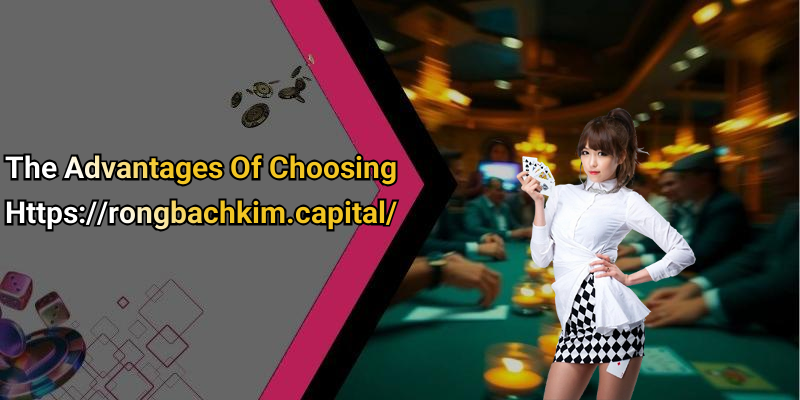 The Advantages Of Choosing Https://rongbachkim.capital/