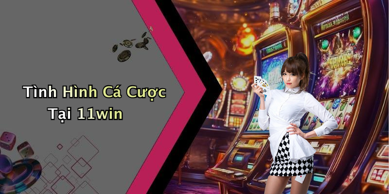 Tình Hình Cá Cược Tại 11win