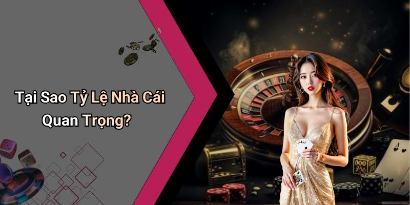 Tại Sao Tỷ Lệ Nhà Cái Quan Trọng?