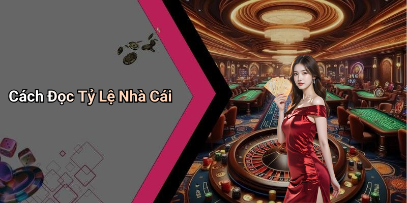Cách Đọc Tỷ Lệ Nhà Cái